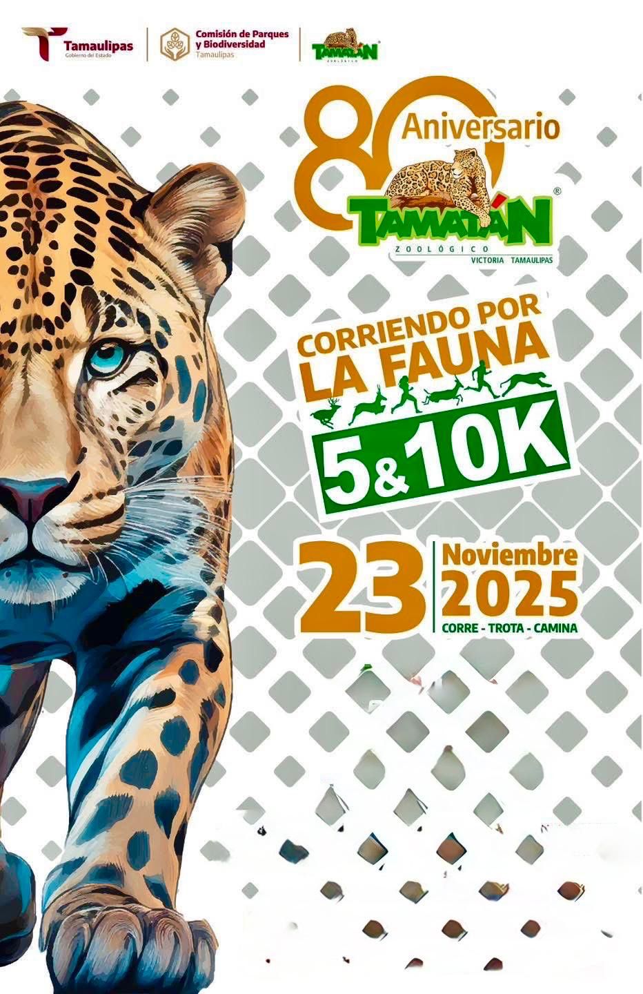 “Corriendo por la Fauna”, una estampida de solidaridad en pro de las especies*