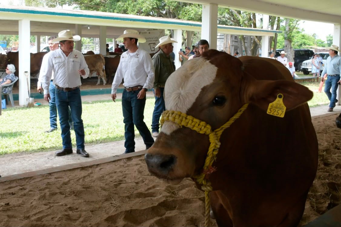 *Acerca programa estatal, genética de alta calidad a las y los productores pecuarios* *Acerca programa estatal, genética de alta calidad a las y los productores pecuarios*